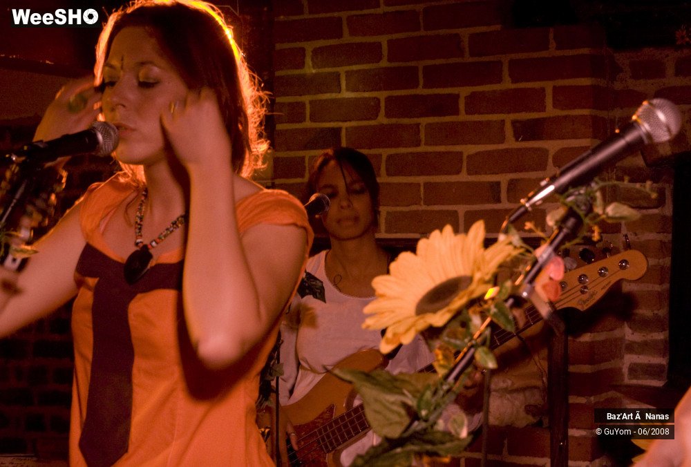 27/35 photos du spectacle Baz'Art à Nanas